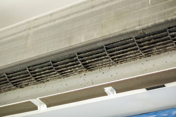 Best HVAC System Cleaning  in Iraan, TX